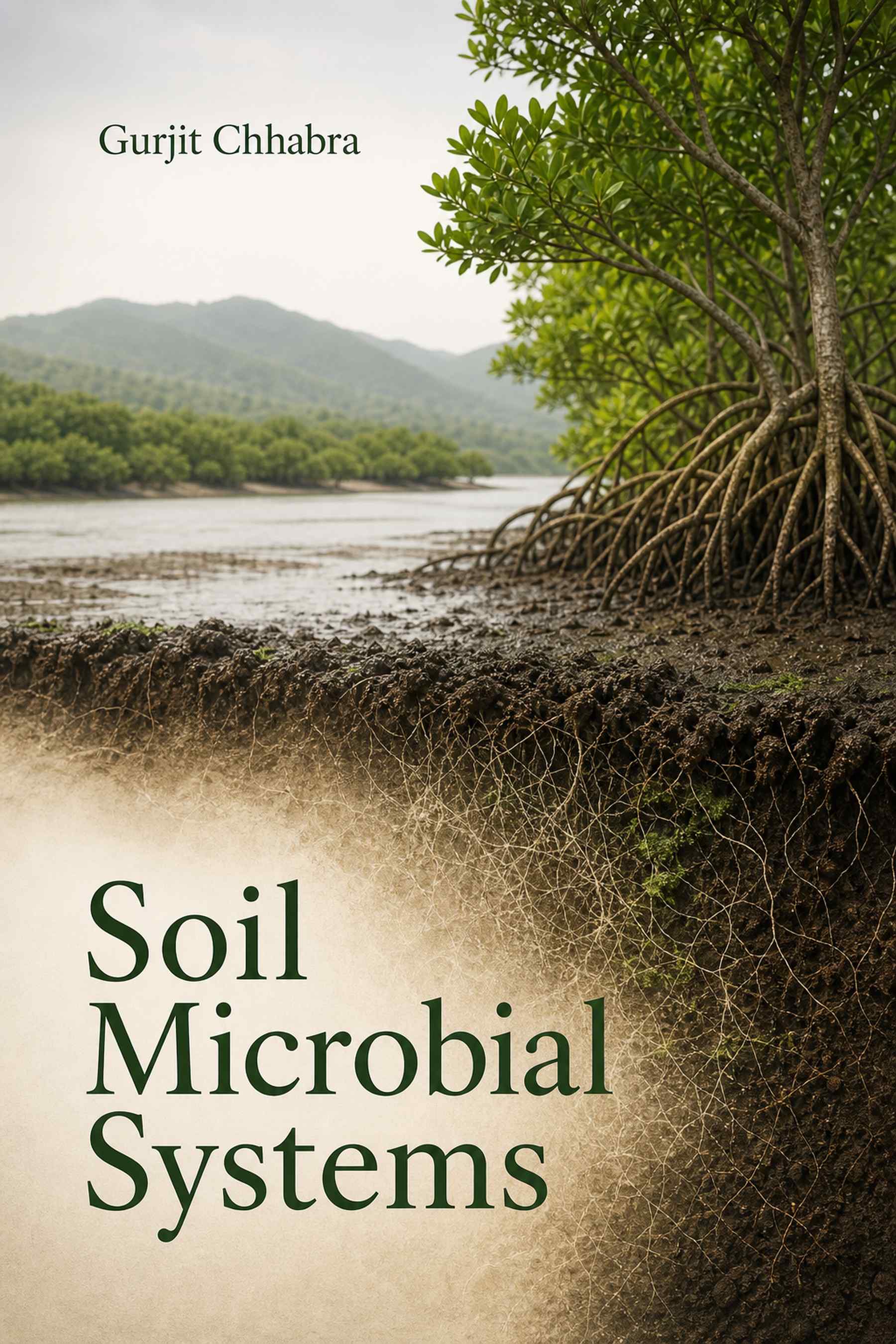 Front cover of Soil Microbial Systems by Gurjit Chhabra