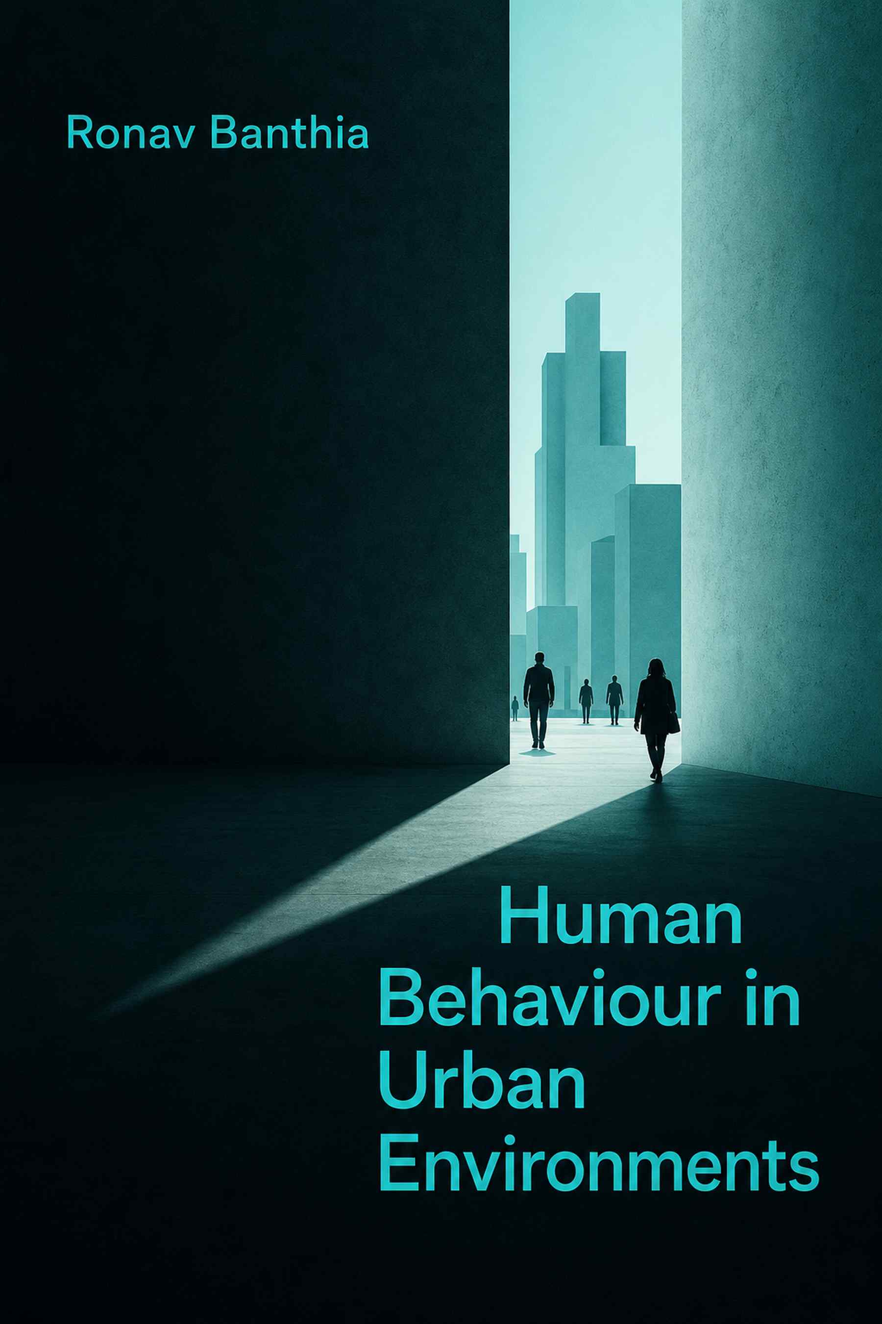 Front cover of Human Behaviour in Urban Environments by Ronav Banthia
