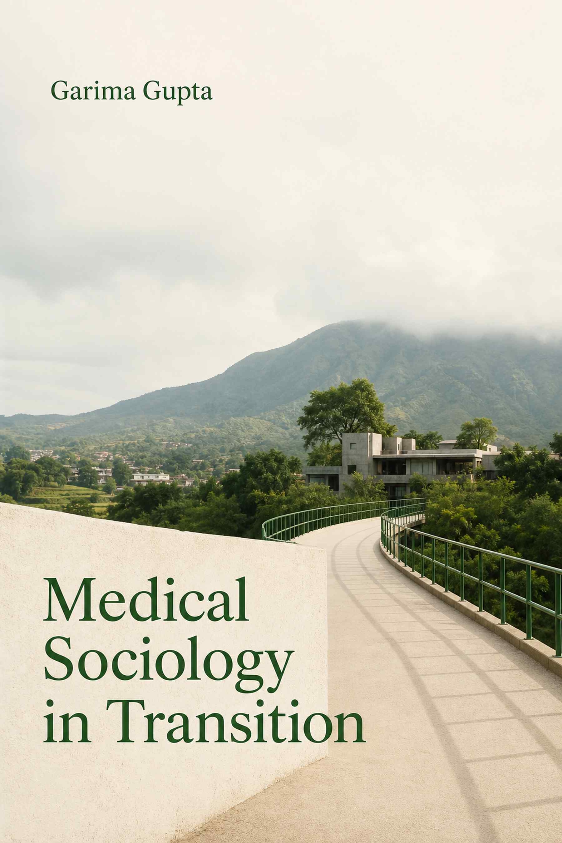 Cover of Medical Sociology in Transition
