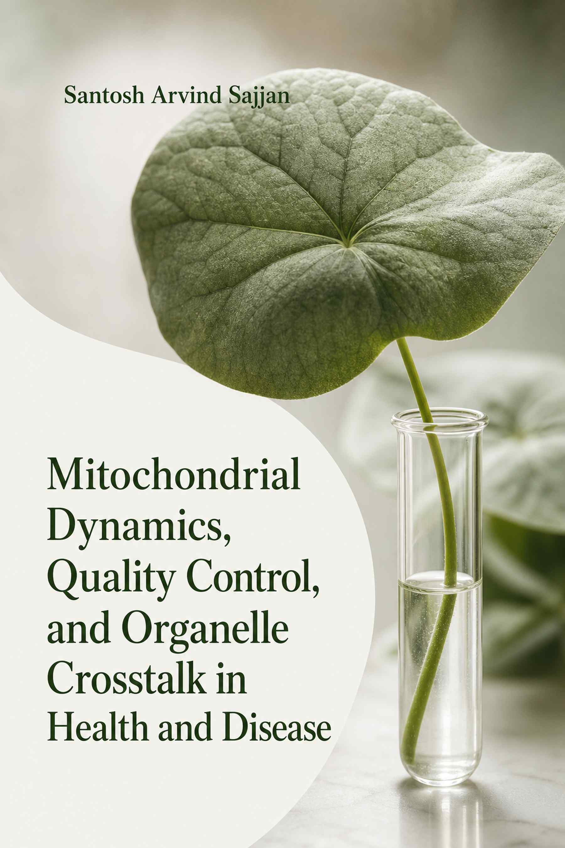 Cover of Mitochondrial Dynamics, Quality Control, and Organelle Crosstalk in Health and Disease
