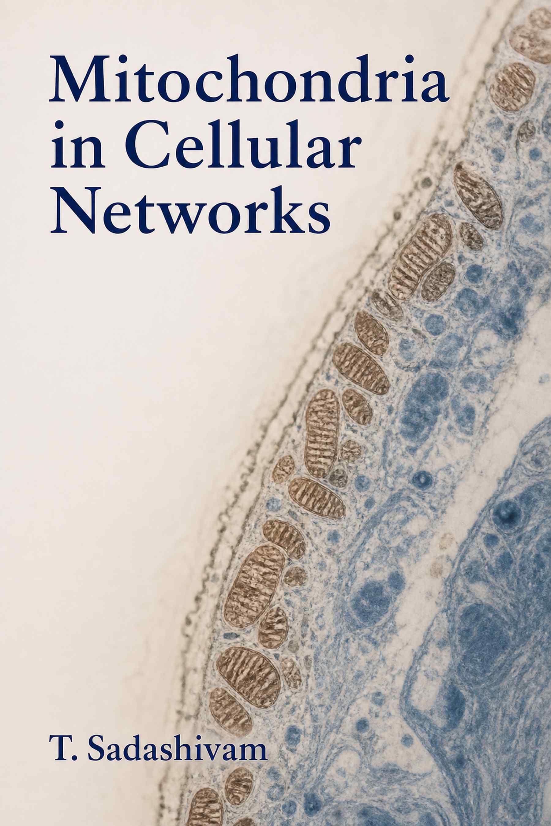 Cover of Mitochondria in Cellular Networks