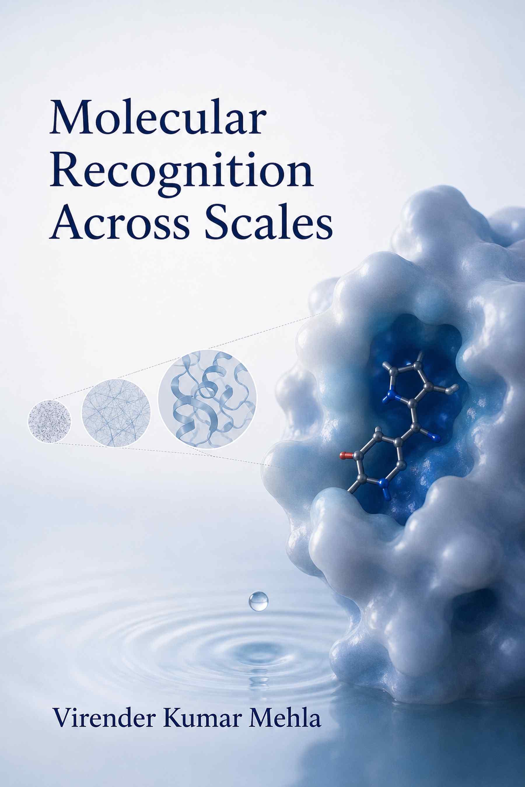 Front cover of Molecular Recognition Across Scales by Virender Kumar Mehla