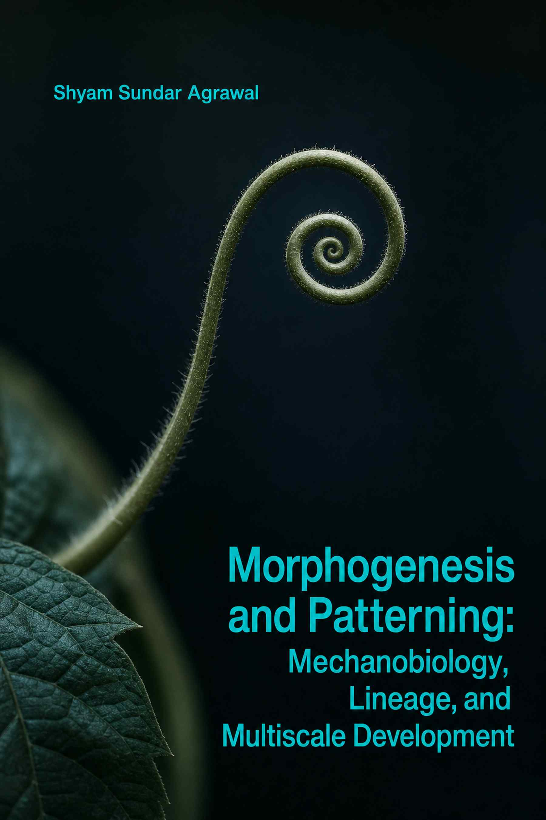Cover of Morphogenesis and Patterning: Mechanobiology, Lineage, and Multiscale Development