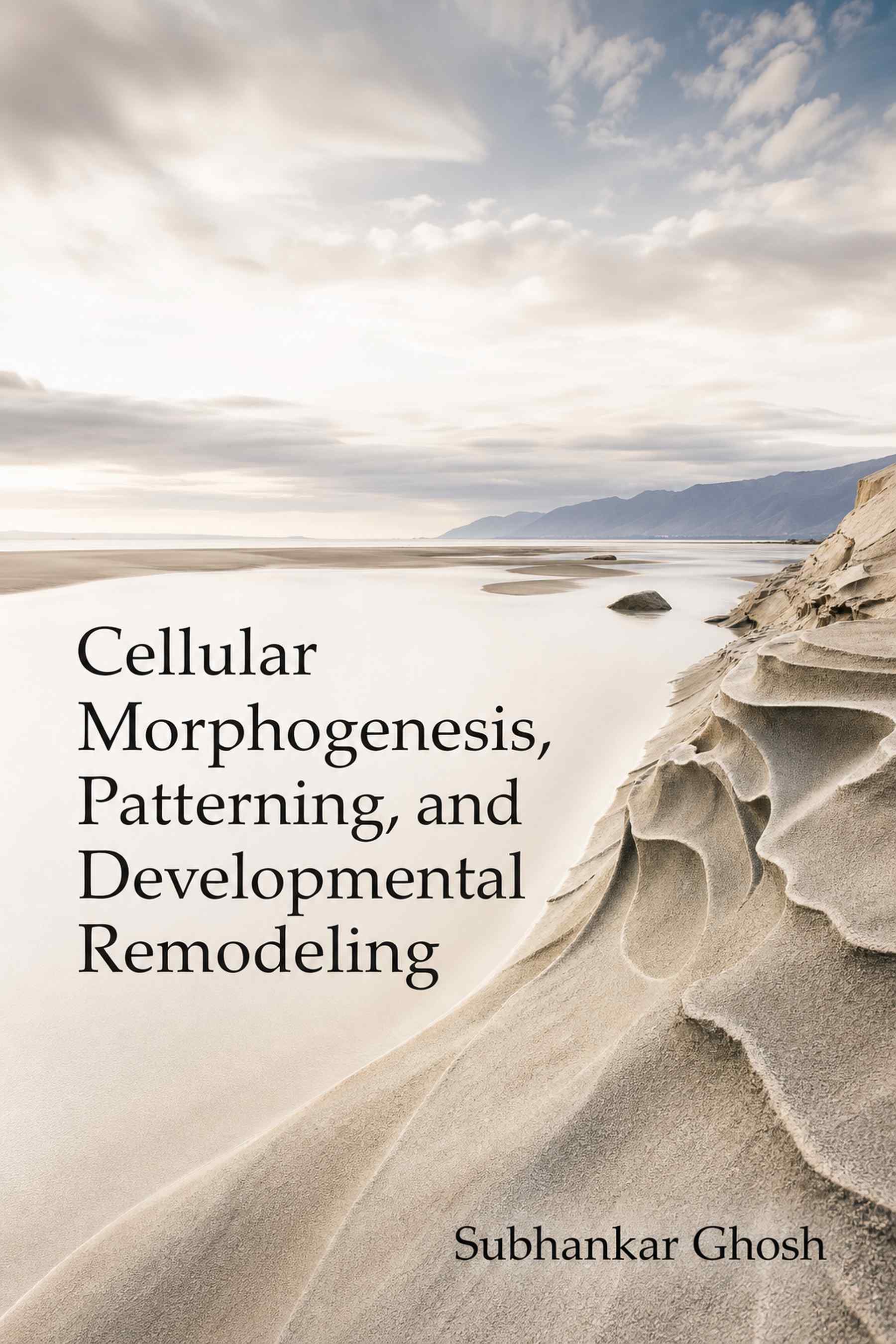 Front cover of Cellular Morphogenesis, Patterning, and Developmental Remodeling by Subhankar Ghosh