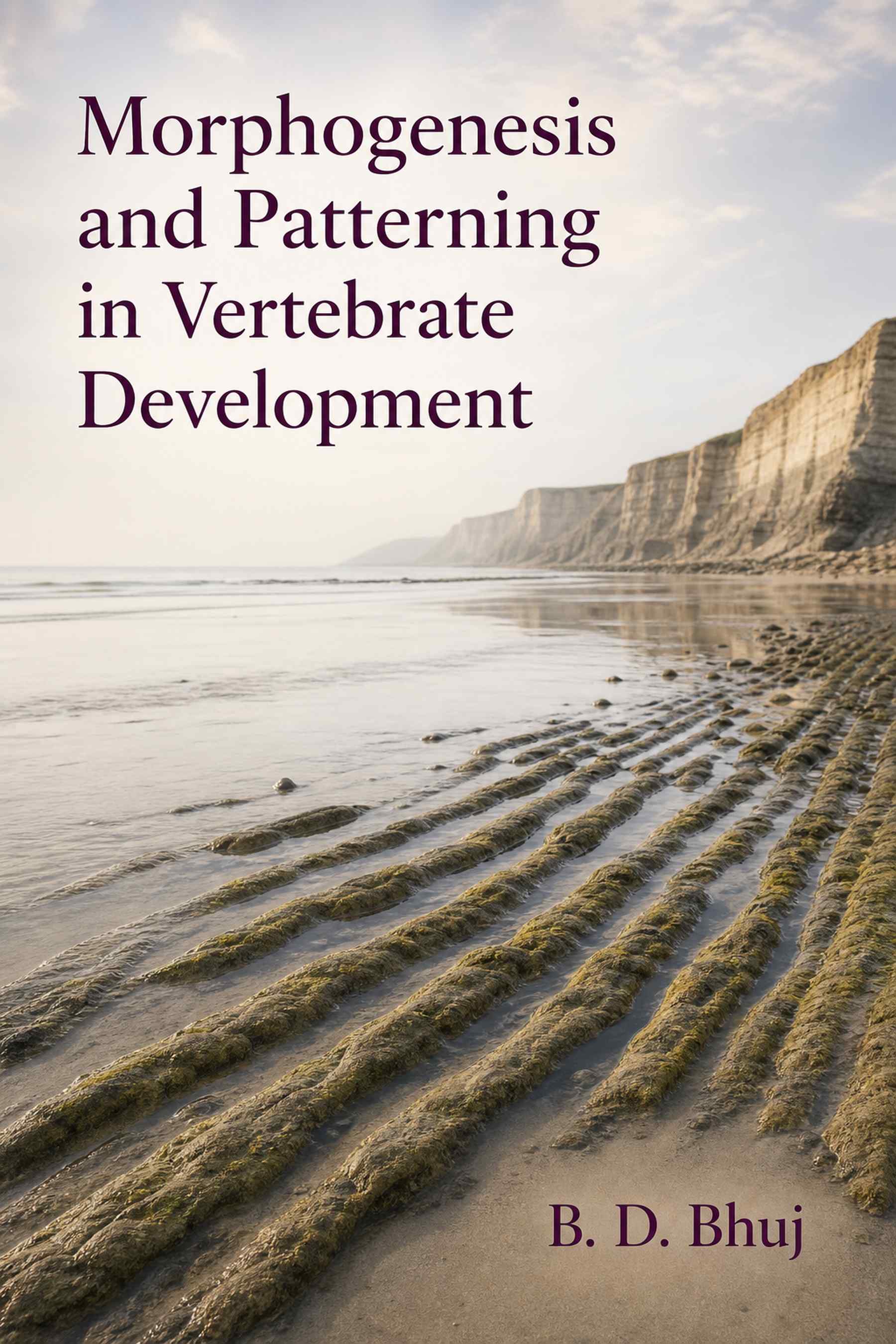 Cover of Morphogenesis and Patterning in Vertebrate Development