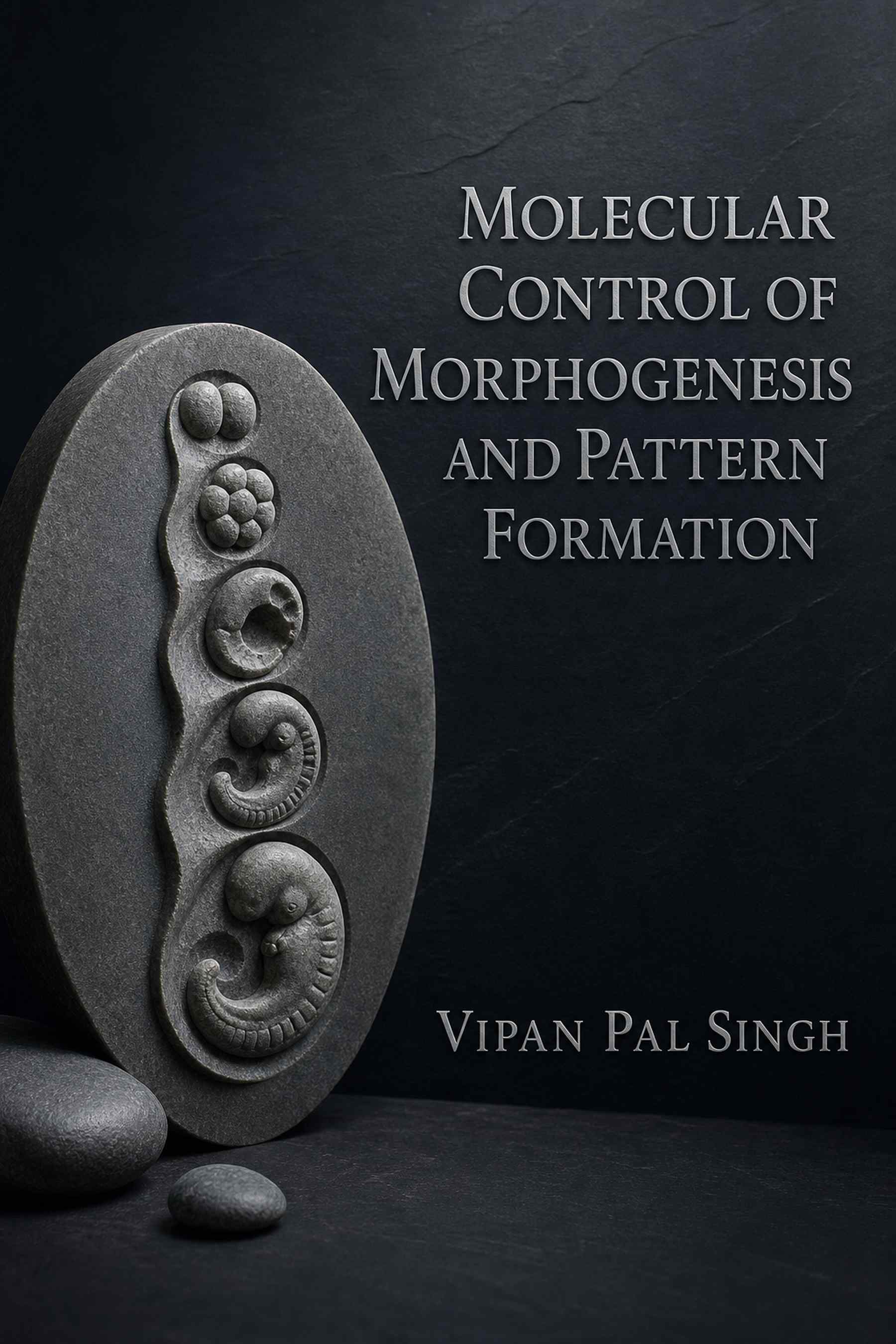 Cover of Molecular Control of Morphogenesis and Pattern Formation