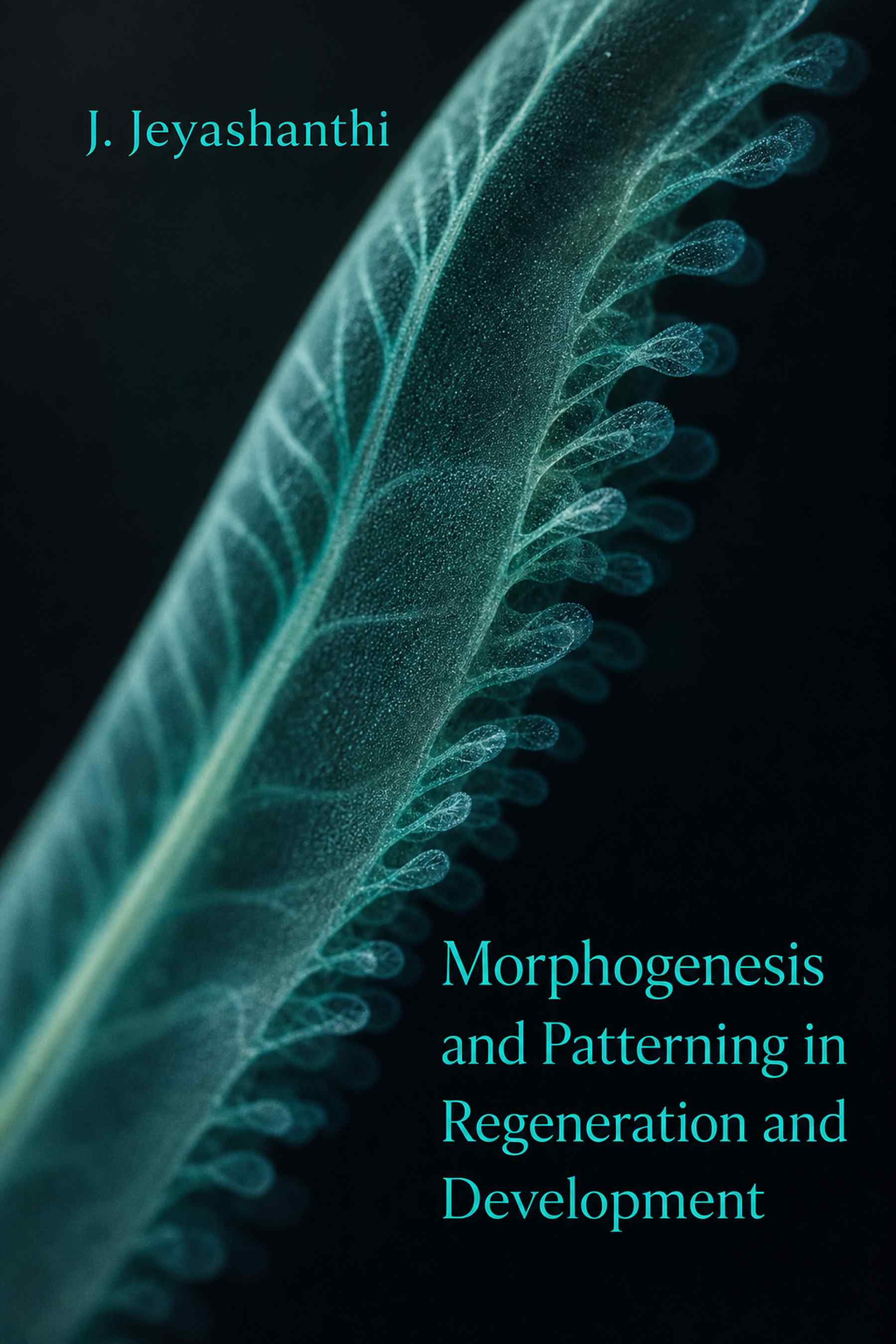 Cover of Morphogenesis and Patterning in Regeneration and Development