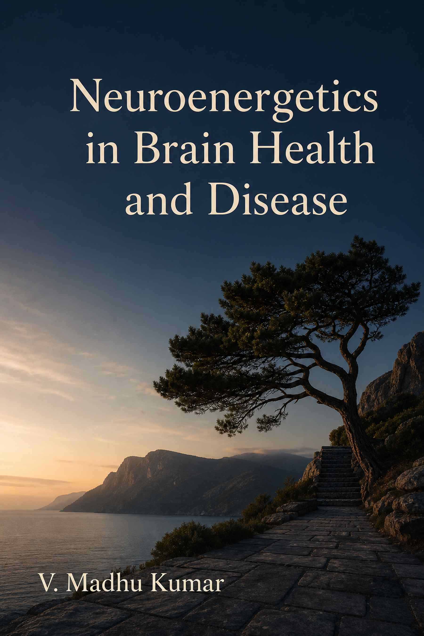 Cover of Neuroenergetics in Brain Health and Disease