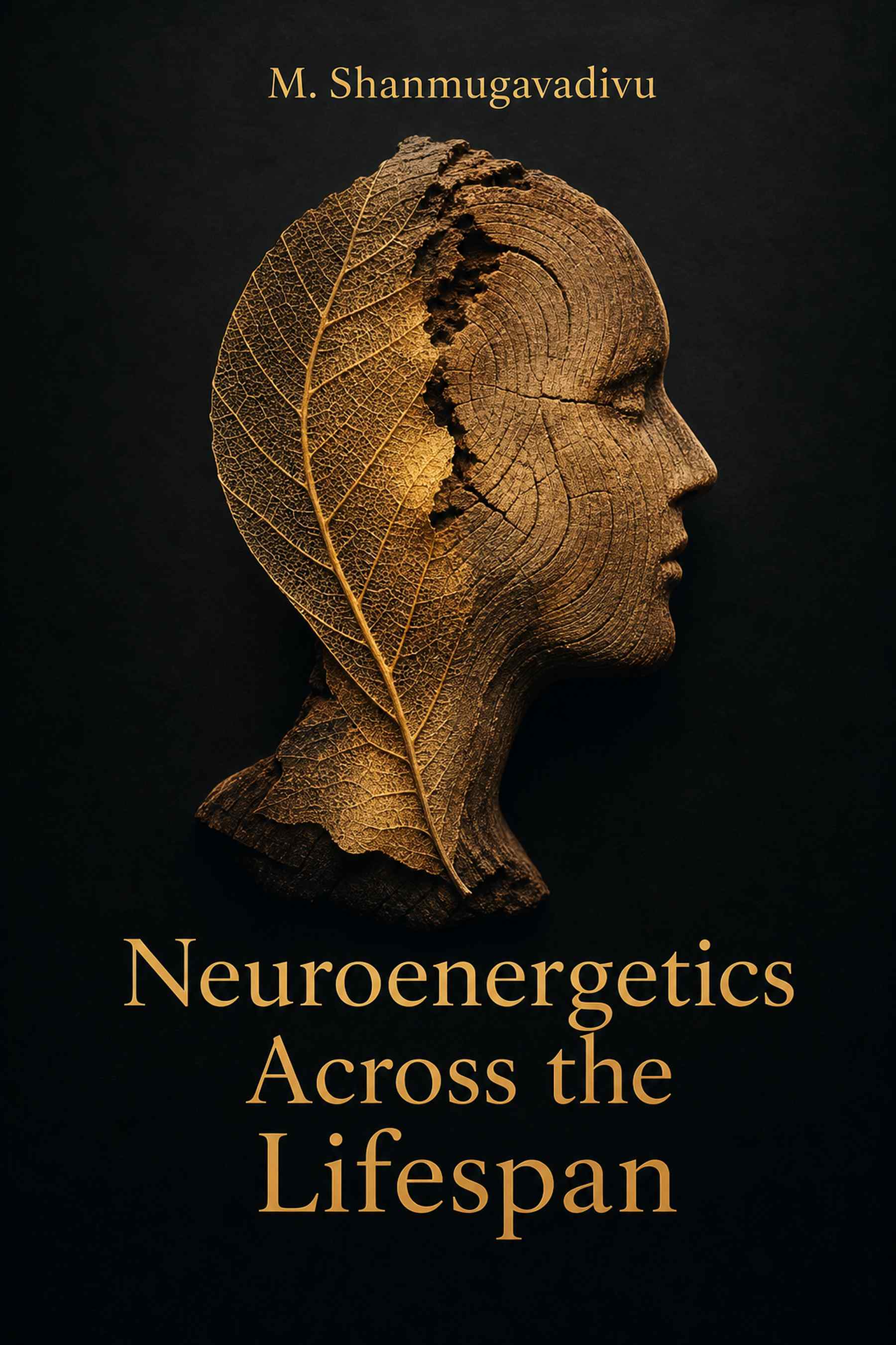 Cover of Neuroenergetics Across the Lifespan