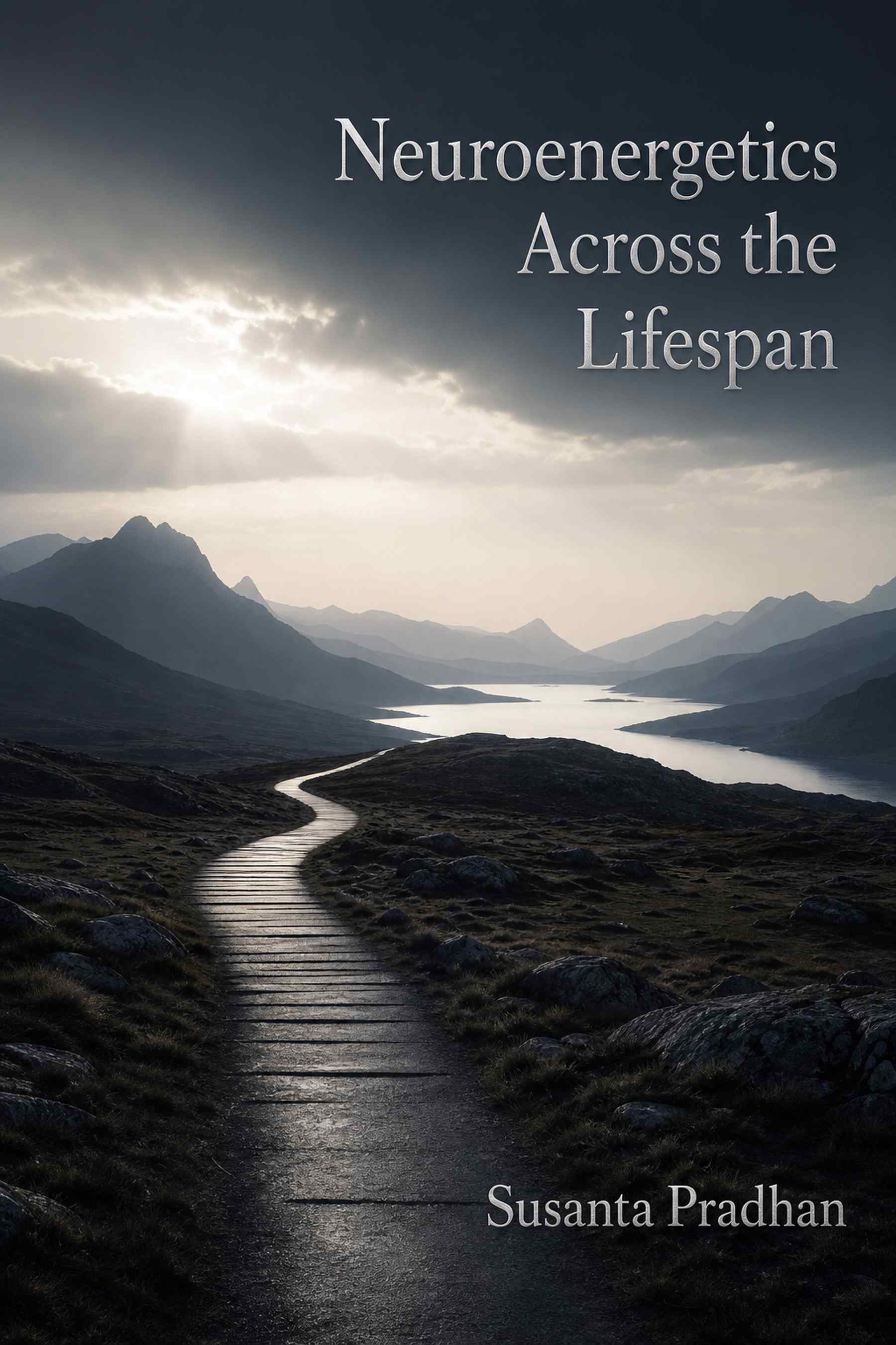 Cover of Neuroenergetics Across the Lifespan