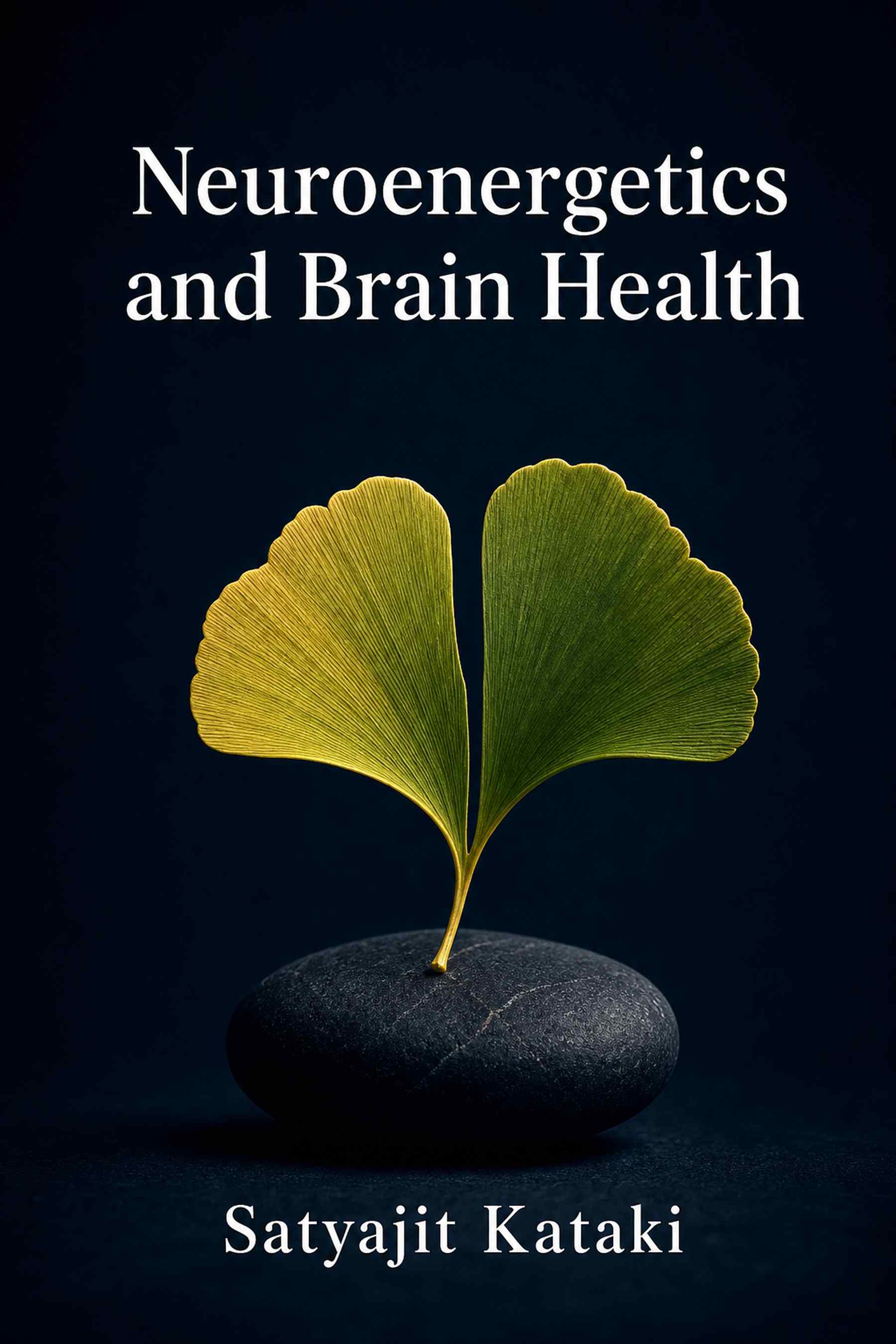 Cover of Neuroenergetics and Brain Health