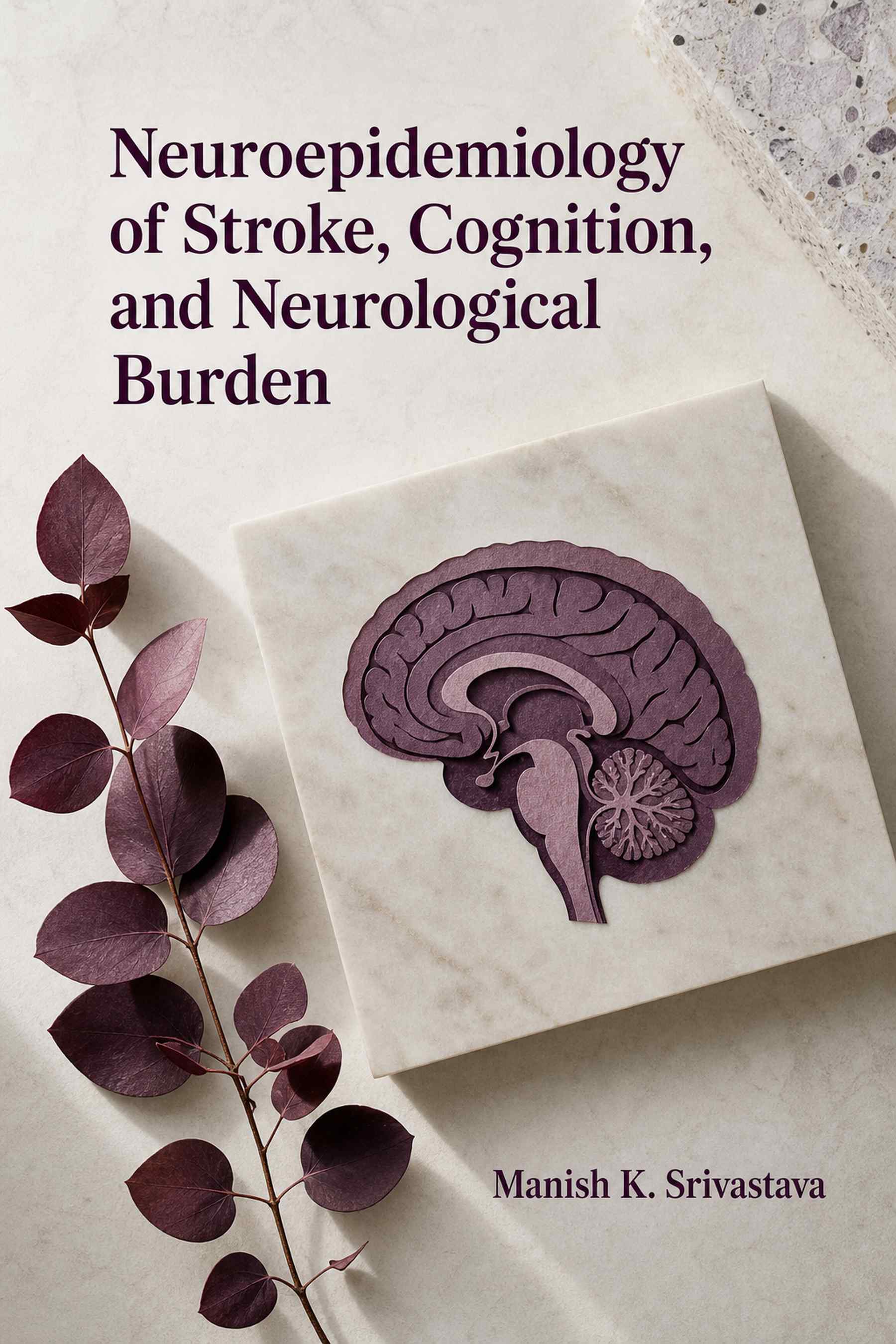 Cover of Neuroepidemiology of Stroke, Cognition, and Neurological Burden