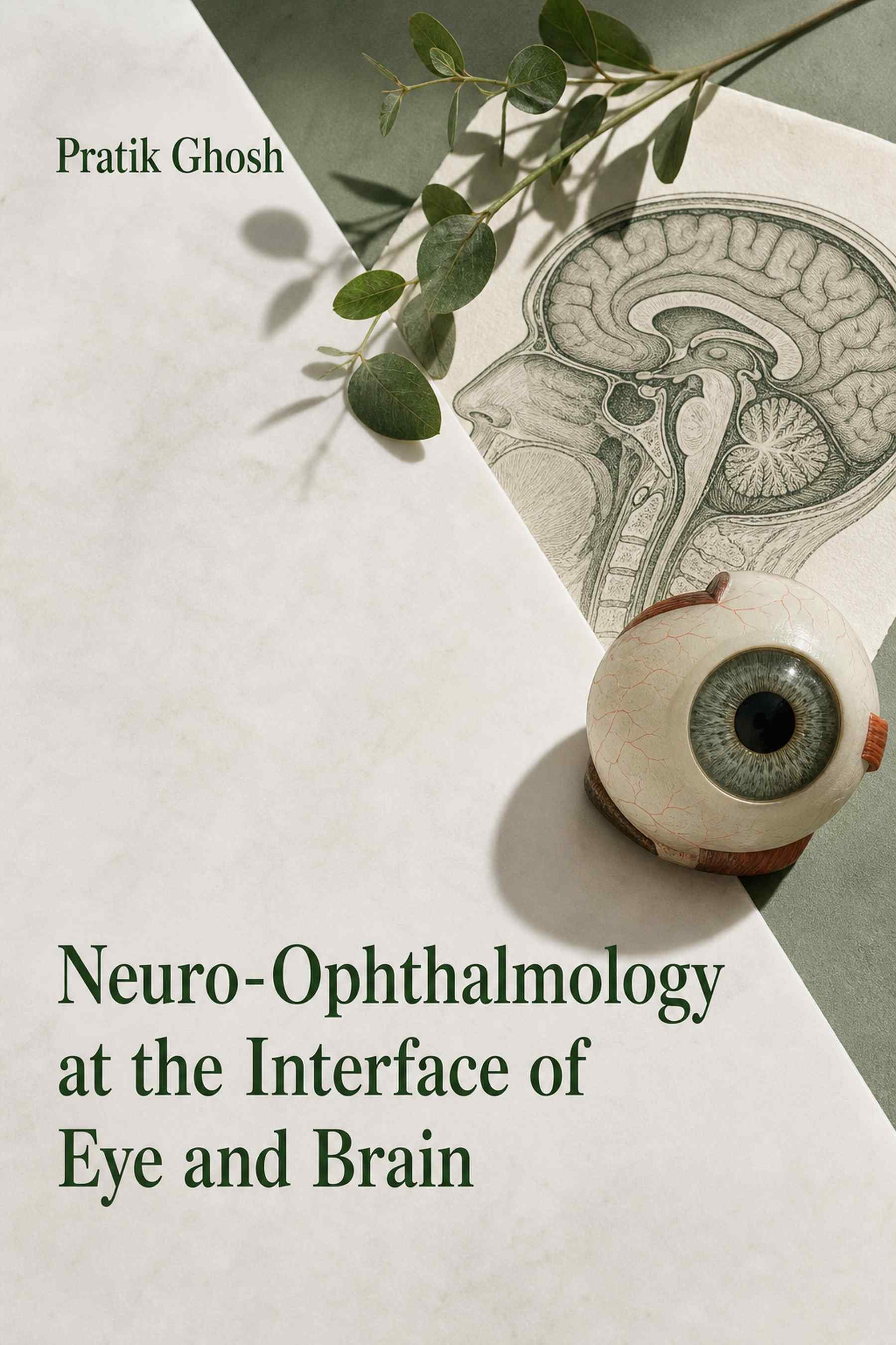 Cover of Neuro-Ophthalmology at the Interface of Eye and Brain