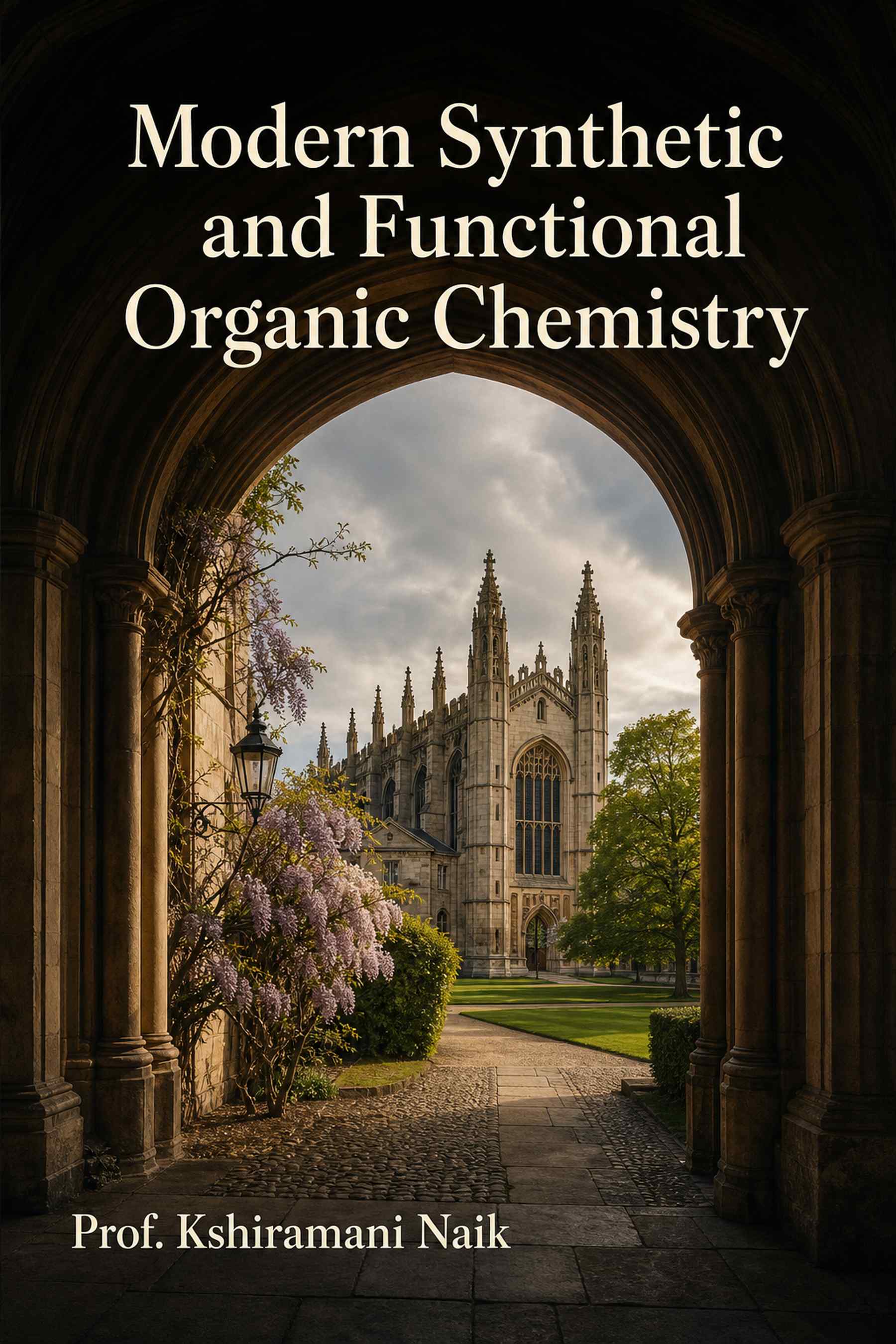Cover of Modern Synthetic and Functional Organic Chemistry