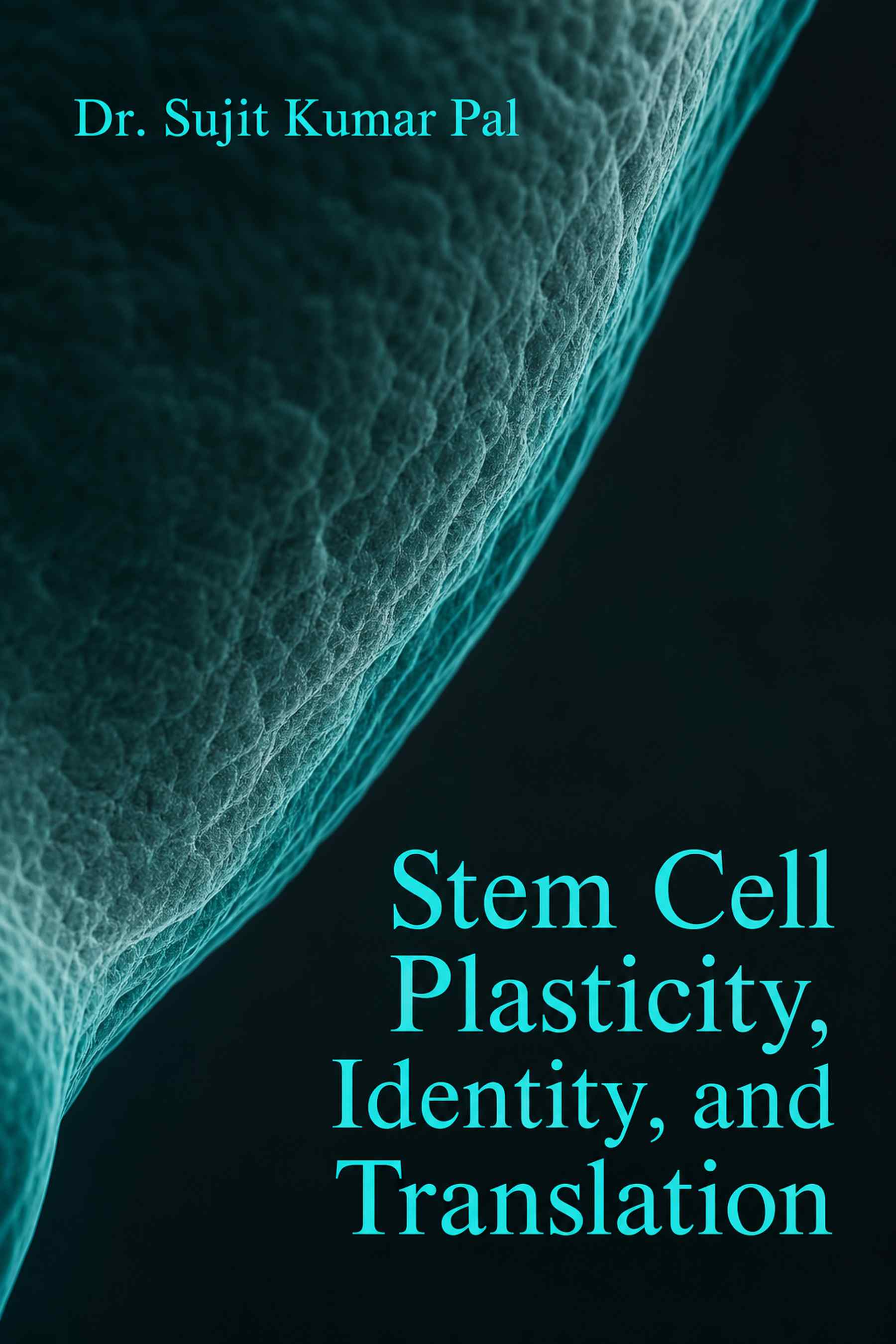 Cover of Stem Cell Plasticity, Identity, and Translation