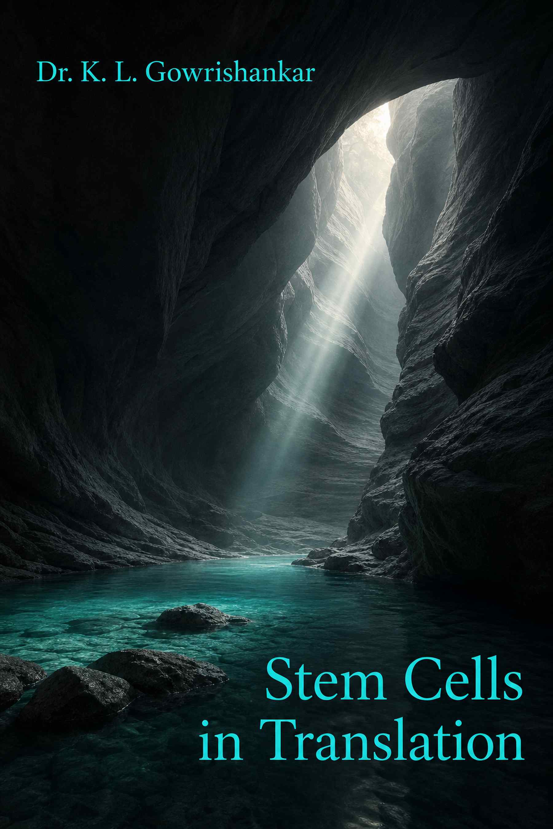 Cover of Stem Cells in Translation