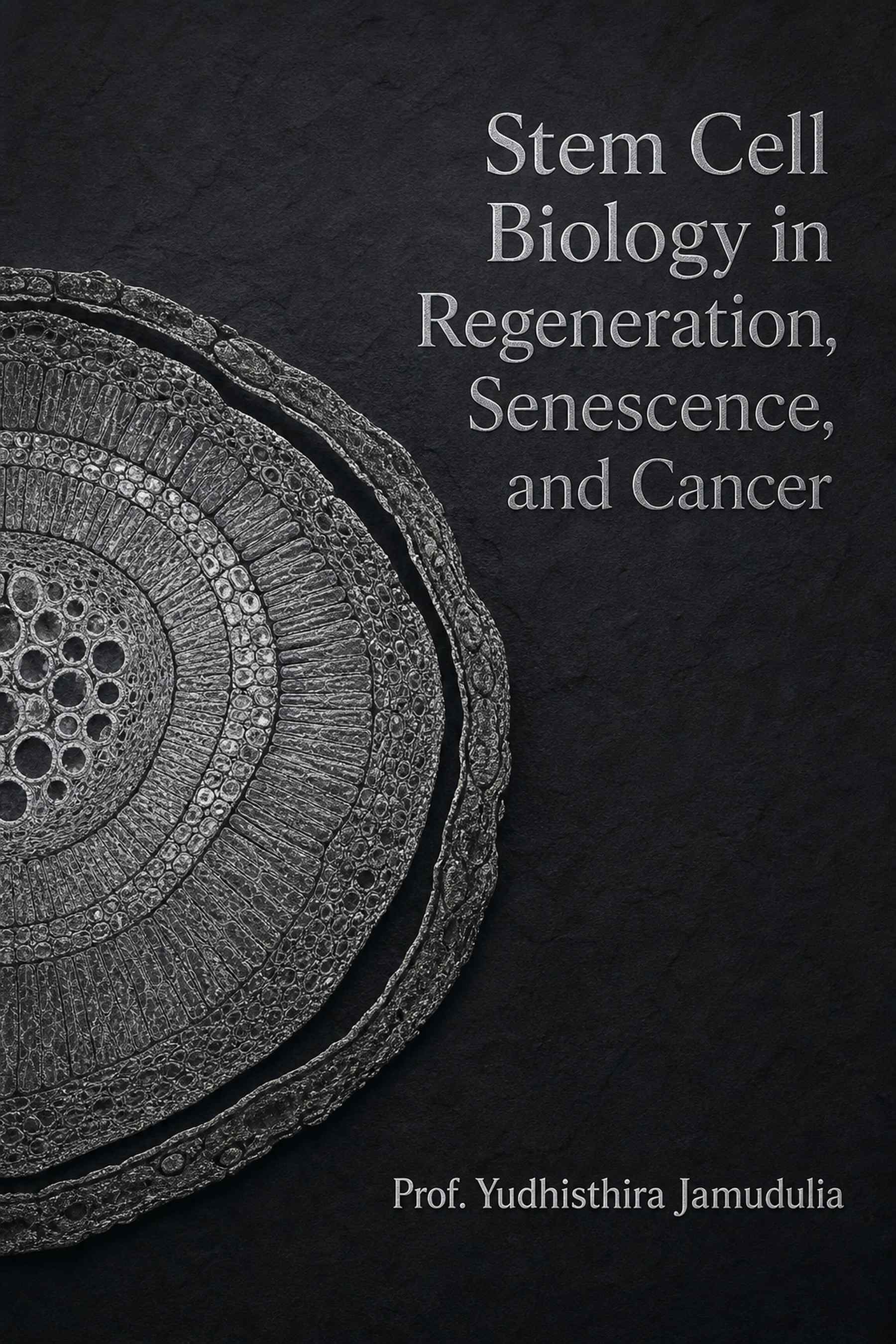 Cover of Stem Cell Biology in Regeneration, Senescence, and Cancer