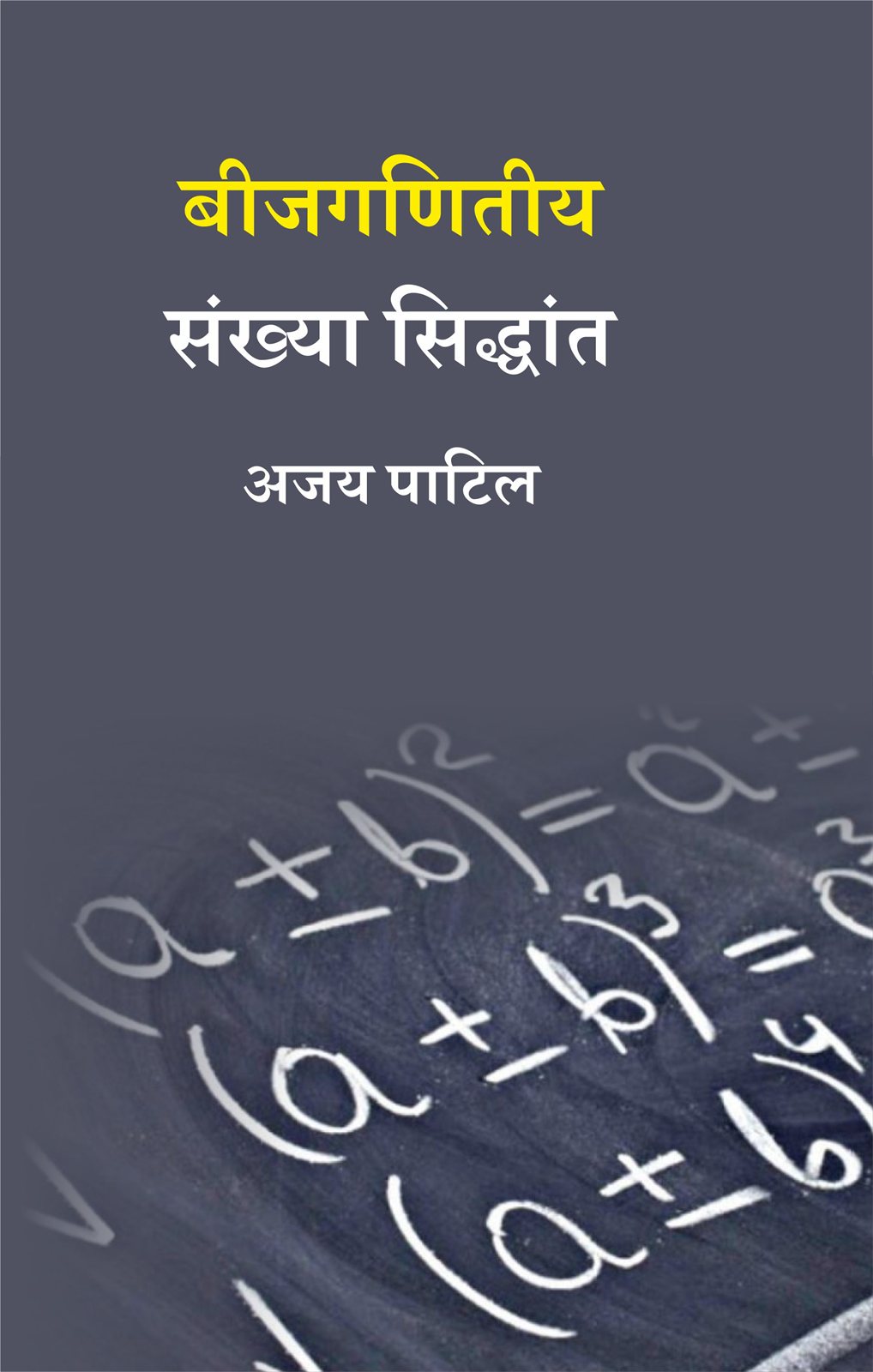 Cover of बीजगणितीय संख्या सिद्धांत