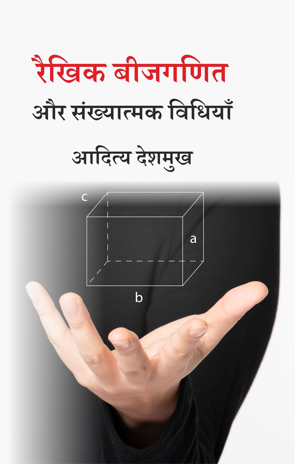 Cover of रैखिक बीजगणित और संख्यात्मक विधियाँ