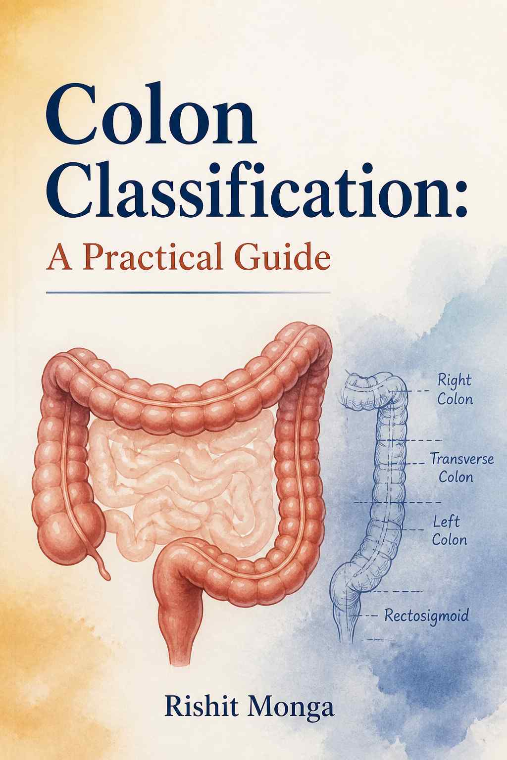 Cover of Colon Classification: A Practical Guide